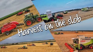 harvest on the south slob 24 [upl. by Loux446]