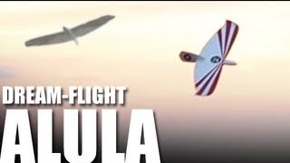 Flite Test  DreamFlight Alula  REVIEW [upl. by Yolanda]