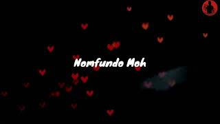 Nomfundo Moh – Phakade Lami ft Sha Sha amp Ami Faku lyrics [upl. by Cloots]