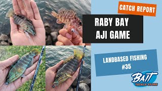 Land Based Fishing 35  Raby Bay Aji Game [upl. by Jorge136]