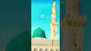 Dil pe qlme ki jarb lga islamicstatus madeena trending [upl. by Uos427]