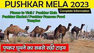 Pushkar Mela 2023 Pushkar Camel Fair Mela 2023 – पुष्कर मेला 2023 – Tourists Places Pushkar [upl. by Orecic817]