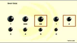 Choosing Shot Size [upl. by Demmer]