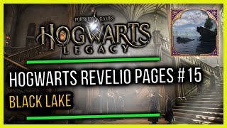 Hogwarts Castle Field Guide Revelio Pages 15 Black Lake [upl. by Frasco289]