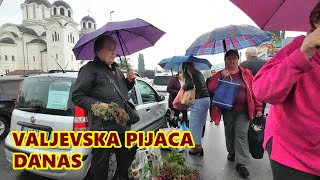 Valjevska pijaca kišovit dan CENE  paradajz do 450 paprike 200 krompir 80FotoVoja [upl. by Crissie]