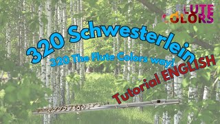 320 Brahms  Schwesterlein  The Flute Colors way  Tutorial English [upl. by Kcirdaed]