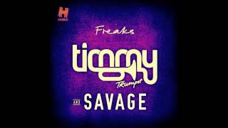 Timmy Trumpet amp Savage  Freaks  Slowed Down [upl. by Esirahc95]