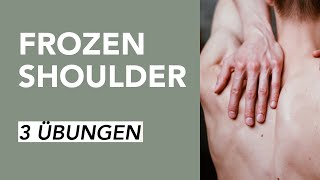 Übungen für Schulterschmerzen bei Frozen Shoulder  Liebscher amp Bracht [upl. by Pavia]