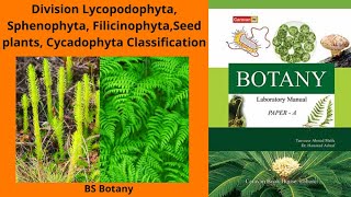 Division Lycopodophyta Sphenophyta FilicinophytaSeed plants Cycadophyta Classification BS Botany [upl. by Moyers10]