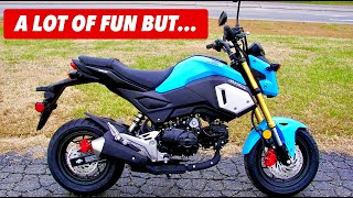 Watch This BEFORE You Buy a Honda Grom First Ride Review ProsCons [upl. by Noseyt]