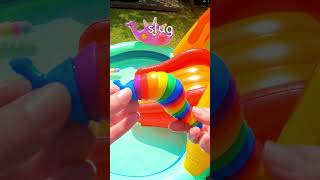 Learn Bug Insect Names  Bounce Toys off Waterslide Spider Caterpillar Slug Snail Ant [upl. by Elga]