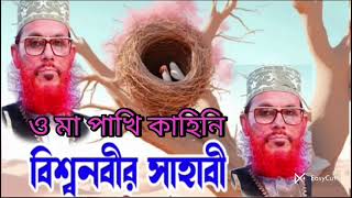 Allama Deluwar Hussain Sandie was Assam New video [upl. by Adnawak]