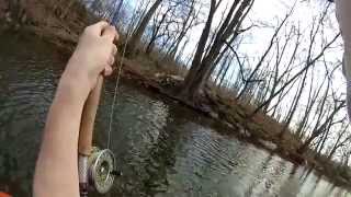 Fly Fishing the Conococheague Creek [upl. by Nairad282]