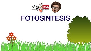 Sains Tahun 4 Fotosintesis cikgooTube CikguZoul [upl. by Swerdna]