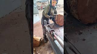 Dangerous Firewood Processor Shorts Viral Woodworking Skills [upl. by Fiore]