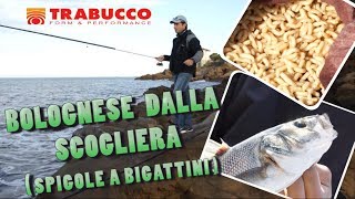 Trabucco TV  Canna bolognese dalla scogliera [upl. by Roxana866]