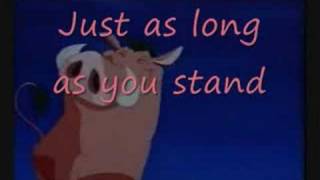 Timon and Pumba  Stand by Me Karaoke [upl. by Sirod234]