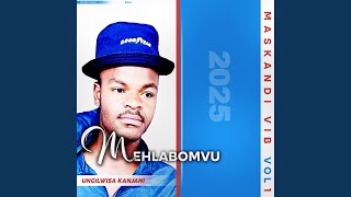 UNGILWISA KANJANI feat MEHLABOMVU [upl. by Eniffit]