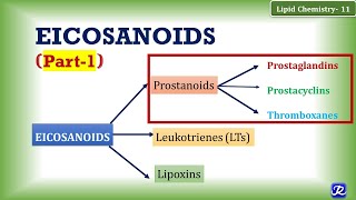 11 Eicosanoids Part 1 Prostanoids Prostaglandin Prostacyclin Thromboxane  Lipid Chemistry11 [upl. by Ecitsuj]