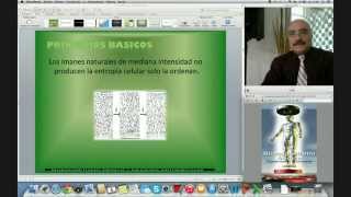 Biomagnetismo Médico Modulo 1 05 Junio 2015 [upl. by Ianthe302]