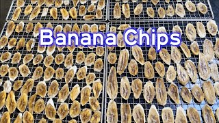 4K ASMR How to Make Crispy Banana Chips Super easy banana chips recipe 香蕉干，香蕉片 [upl. by Wilkinson]