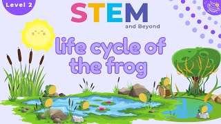 Life Cycle of a Frog  KS1 Science Year 2  STEM Home Learning [upl. by Elana]