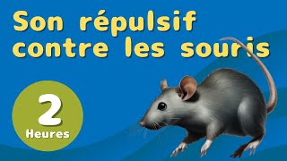 Bruit Répulsif pour Souris et Rats Sons haute fréquence Non compatible avec iPhone [upl. by Kennedy]