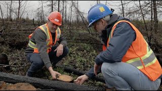 Découverte  Course pour récolter le bois brûlé [upl. by Church]