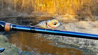 Tiny Cutthroat Trout Jointed CrankBait  One Day Build to Catch [upl. by Innavoeg]