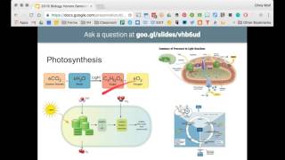 2016 Biology Final Exam Review Session 2 [upl. by Ayadahs7]