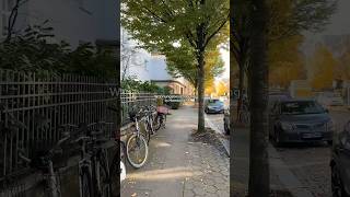 erzähle euch dann in dem Vlog Freitag ob‘s eine der beiden geworden ist wohnungssuche hamburg [upl. by Adolph479]