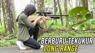 BERBURU TEKUKUR LONG RANGE [upl. by Quarta359]