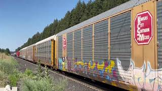 Rathdrum Railfanning AC44CW leader Old Wisconsin Central boxcar hornshow and more [upl. by Suivatnod]