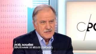 Noël Mamère  C politique  05042015 [upl. by Egreog]