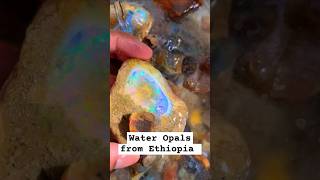 Water Opal from Ethiopia  Hydrophane Opals must be kept in water [upl. by Lehcer964]