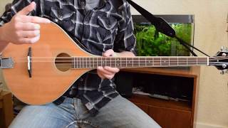 Beginner Irish Bouzouki Lesson  Tuning and First Chords [upl. by Airoled]