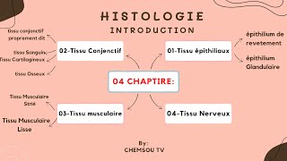 Introduction a lHistologie  Biologie Animale [upl. by Kado]