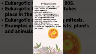 Prokaryotes VS Eukaryotes Whats the differenceprokaryotes eukaryotes shorts [upl. by Judd868]