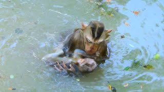 OMGYoung Mum Luna Bring Baby Lucie To Swimming So Long Distance Till Lucie Cyanosis [upl. by Rashida]