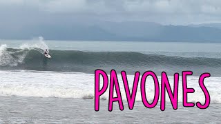 Perfect day Pavones  Costa Rica 16 August 2021 RAW [upl. by Nyledaj]