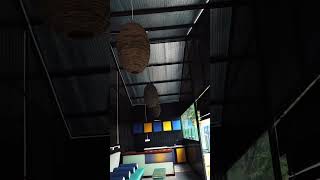 Budget Hostels amp Dorms in Weligama [upl. by Hudnut]