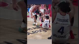 Milos Teodosic 31 ❤️🤍 euroleague crvenazvezda basketball partizan [upl. by Emsoc]