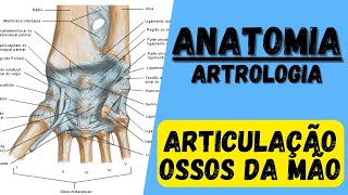 Articulações da MÃODEDOS Anatomia Classificação ligamentos e movimentos [upl. by Alrats]