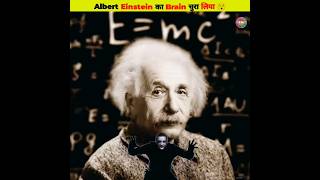 Albert Einstein का Brain चुरा लिया😰😱shorts einsteinbrain braintheft alberteinsteinmystery [upl. by Ik]