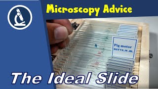 🔬 What are the four characteristics of an ideal microscope specimen  Amateur Microscopy [upl. by Otilopih]