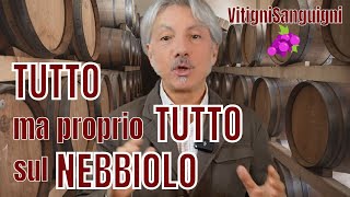 VitigniSanguigni OGGI VI RACCONTO TUTTO SUL NEBBIOLO [upl. by Ainirtac]