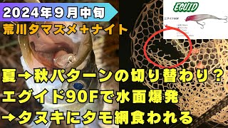 夏→秋パターンの切り替わり？エグイド90Fで水面爆発→タヌキにタモ網食われる／荒川／シーバス釣り／湾奥 [upl. by Oler]