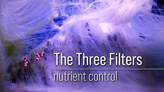 A Challenge Three Effective Filters for Organic Dissolved amp Inorganic Nutrients in Reef Aquariums [upl. by Enilec]