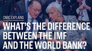 Whats the difference between the IMF and the World Bank  CNBC Explains [upl. by Inge]