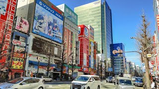 Akihabara  Tokyo 2024 [upl. by Silver]